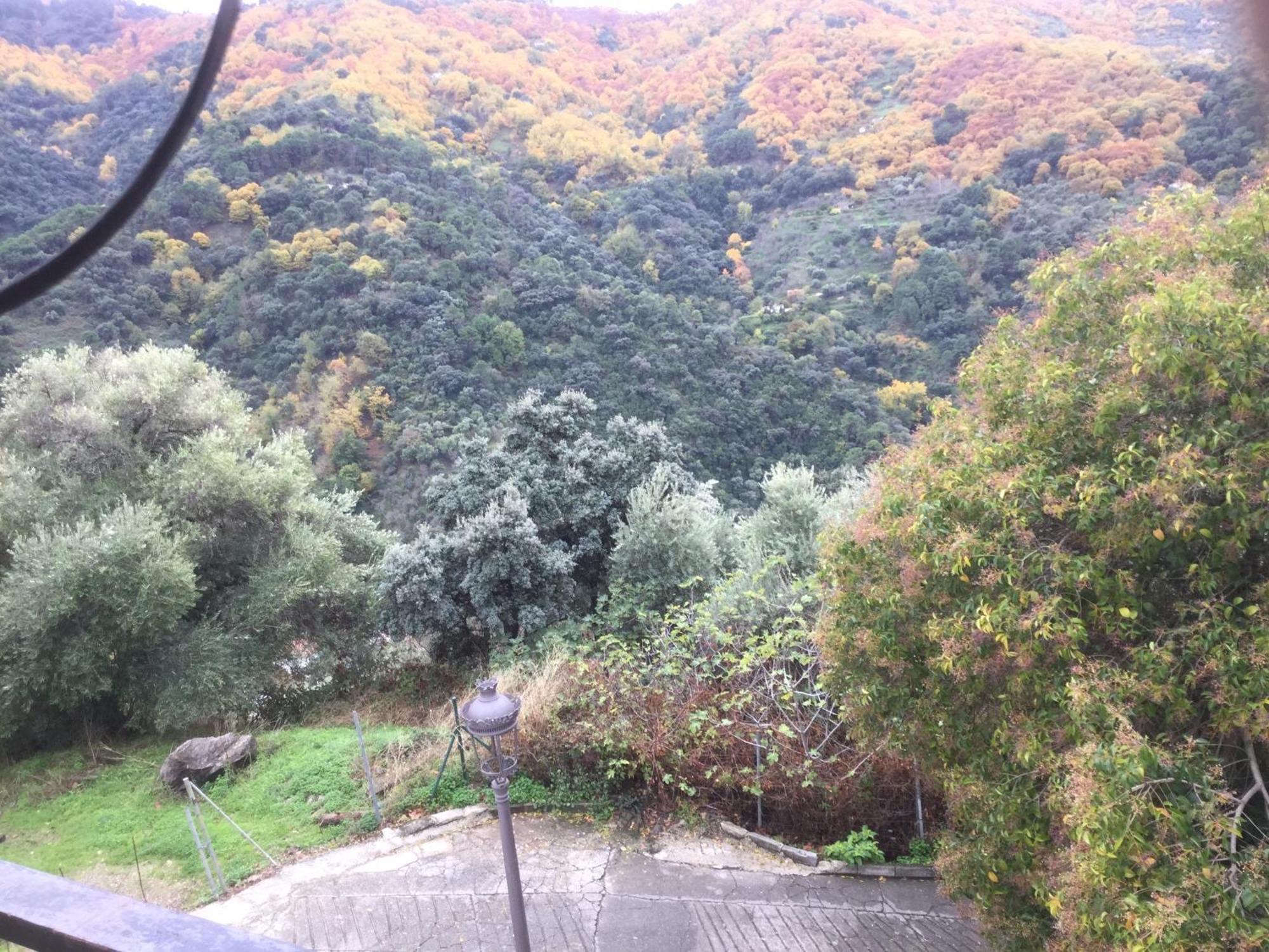 Jubrique Daire Dış mekan fotoğraf