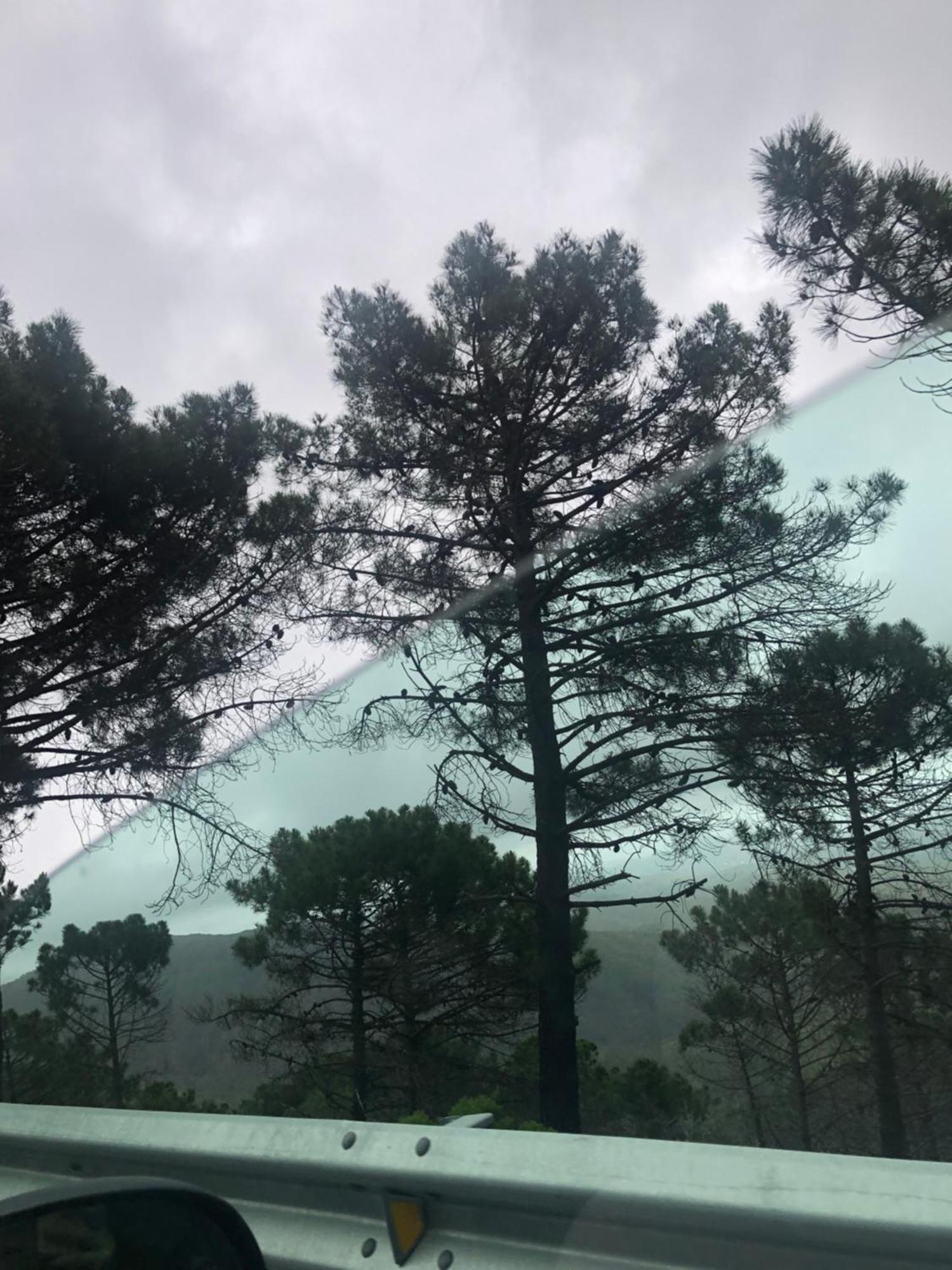Jubrique Daire Dış mekan fotoğraf