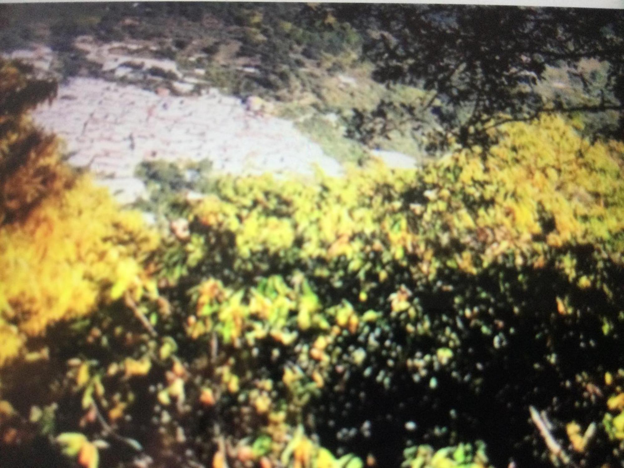 Jubrique Daire Dış mekan fotoğraf