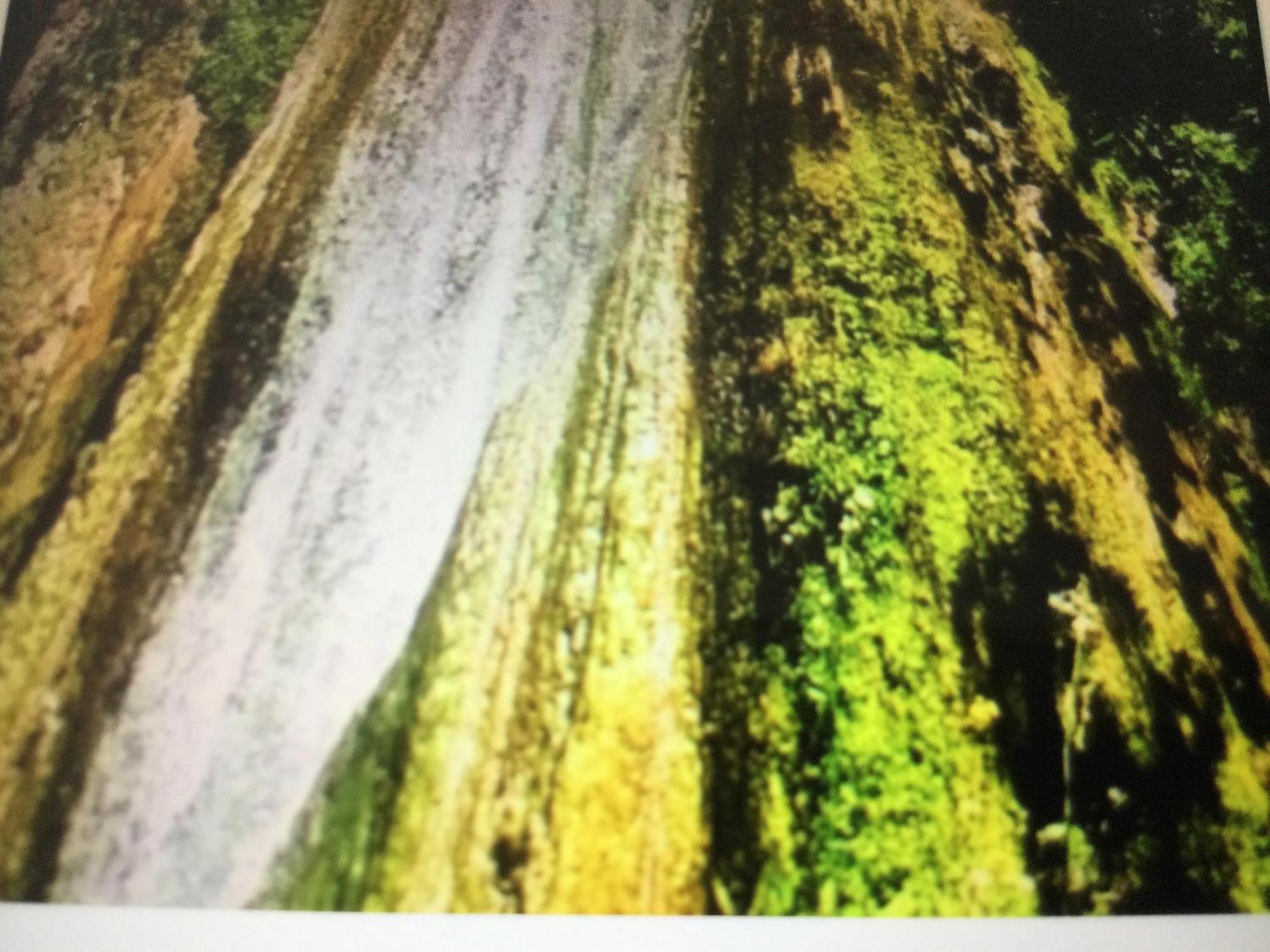 Jubrique Daire Dış mekan fotoğraf